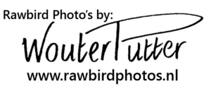 watermerk met website zwart hand