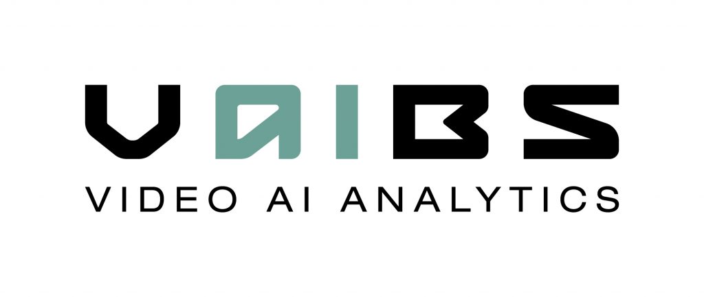 Vaibs-logo-RGB-voor-gebruik-op-wit-Highres-1024x433-1